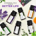 Essential Oils 100% Pure Oils kit